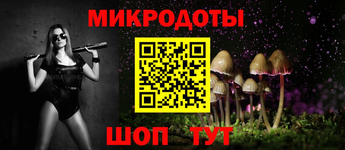 A PVP Кохма