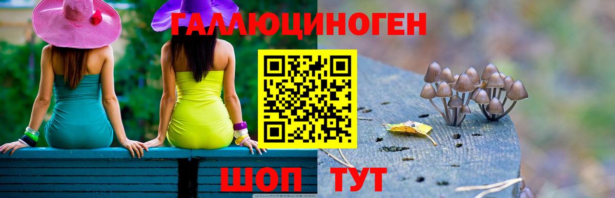 где купить наркотик  Вход с VPN  Псилоцибиновые грибы прущие грибы  Кохма  Псилоцибиновые грибы мухоморы 